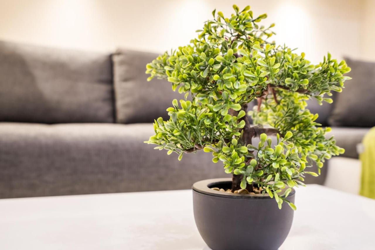 Bpr Garay Suite With Rooftop Terrace & A/C ブダペスト エクステリア 写真